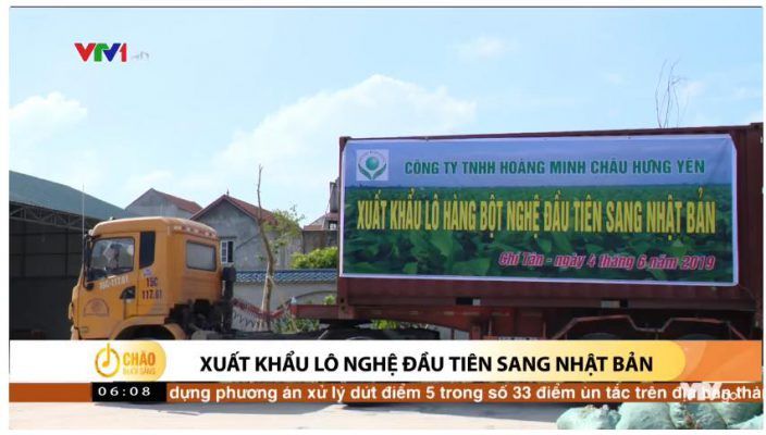 XUẤT KHẨU BỘT NGHỆ HOÀNG MINH CHÂU SANG THỊ TRƯỜNG NHẬT BẢN