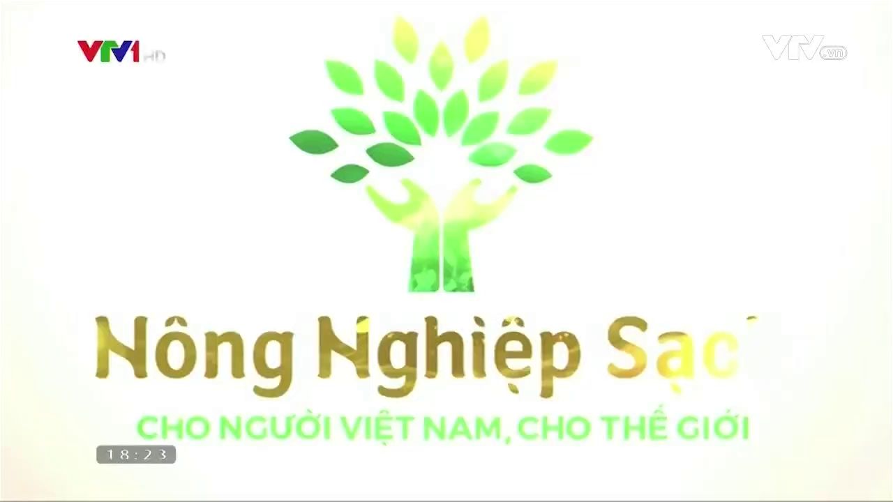 VTV1 NÔNG NGHIỆP SẠCH GIỚI THIỆU TINH BỘT NGHỆ HOÀNG MINH CHÂU HƯNG YÊN